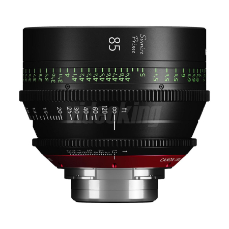 Canon Sumire 85mm-1