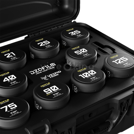 DZOFILM Vespid 10-Lens Kit-1