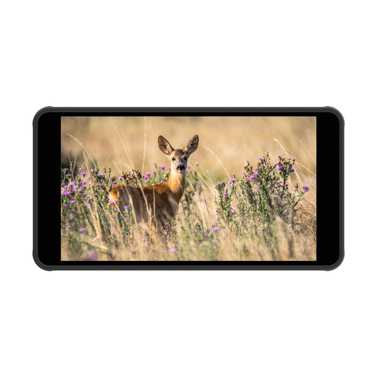 Portkeys PT5 II 5″ Small HDMI On-Camera Field Monitor for DSLR & Mirrorless